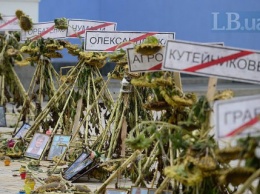 Муженко: Иловайск в августе 2014 года не имел стратегического значения