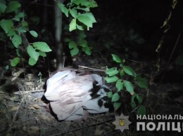 Жуткий случай под Харьковом: мужчине разрубили голову