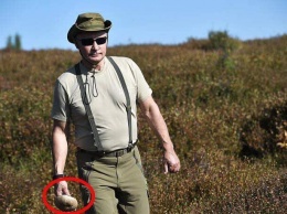 Он гриб: в сети заметили удивительное сходство Путина с персонажем Экзюпери