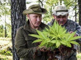 "Горбатая гора": дикая фотосессия Путина с Шойгу в народном творчестве (ФОТО)