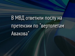В МВД ответили послу на претензии по "вертолетам Авакова"