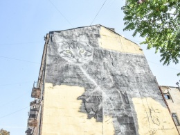 Огромный черно-белый кот на стене вызвал скандал (фото)