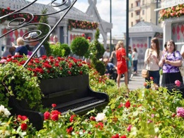 Столы, шатер и ручьи из цветов: крымские розы украсят центр Москвы