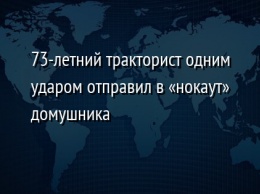 73-летний тракторист одним ударом отправил в «нокаут» домушника