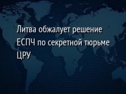 Литва обжалует решение ЕСПЧ по секретной тюрьме ЦРУ