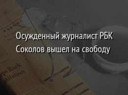 Осужденный журналист РБК Соколов вышел на свободу