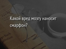 Какой вред мозгу наносит смарфон?