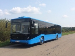 В сентябре Ужгород получит первые коммунальные автобусы (фото)