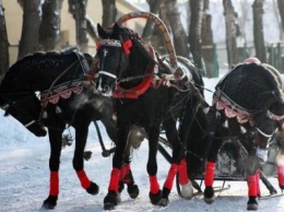 В Никольске выяснили: Нарушение ПДД - древняя русская традиция