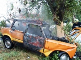 ДТП на Черниговщине: в результате аварии водитель сгорел в собственном автомобиле (ФОТО)