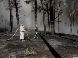 В лес под Харьковом стянули пожарных (фото)