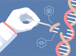 С помощью редактора генома CRISPR удалось вылечить мышечную дистрофию