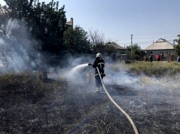 Пожары и поджоги. Почему горят леса и поля в Николаевской области