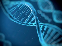 В человеческом геноме ученые нашли 20% неработающих генов