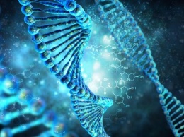 Ученые: 20 процентов генома человека является бесполезной