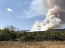 В Крыму горит лес, спасатели пытаются уберечь жилые дома