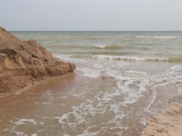 Из Молочного лимана в Азовское море вошло более 2 тысяч тонн маленького пиленгаса (фото)