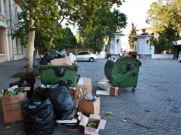 В Севастополе правонарушителей отправят на уборку парков