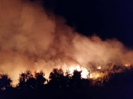 Из-за погодных условий горел Куяльник: пострадали птицы и деревья