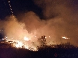 На побережье Куяльницкого лимана бушевал масштабный пожар