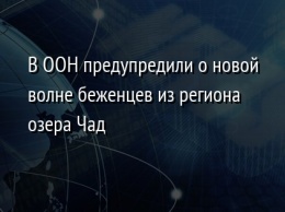 В ООН предупредили о новой волне беженцев из региона озера Чад