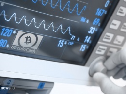 Проведен стресс-тест Bitcoin Cash