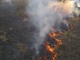 На Николаевщине за прошлую неделю было 8 пожаров в лесных урочищах, причем половина из них - в Матвеевском лесу