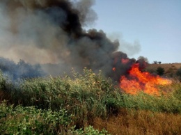 Пришлось даже останавливать движение на трассе - на Николаевщине пожарные потушили масштабный пожар сухой травы в курортной зоне Коблево
