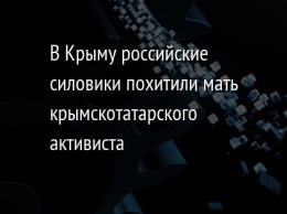 В Крыму российские силовики похитили мать крымскотатарского активиста