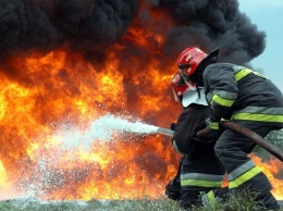 Под Харьковом горит лес, задействована авиация