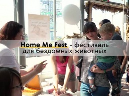 Home Me Fest: в Одессе состоится фестиваль бездомных животных