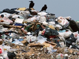 Как власти Киева собираются решить проблему мусора