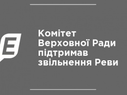 Комитет Верховной Рады поддержал увольнение Ревы