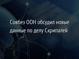 Совбез ООН обсудил новые данные по делу Скрипалей