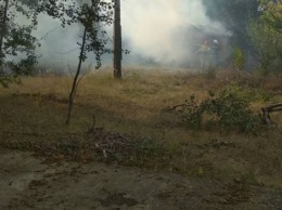 Полиция расследует лесной пожар под Харьковом как умышленный поджог