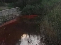 Власть Запорожья анонсирует начало расчистки небольших рек и водоемов