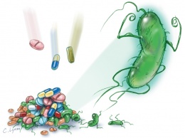 5 самых страшных новых бактерий-мутантов, устойчивых к антибиотикам