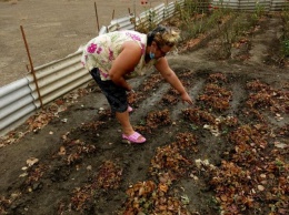 Ржавые огороды и люди в масках: в сети показали фото пострадавшего от химатаки северного Крыма (ФОТО)