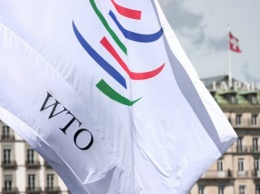 В антидемпинговом деле о нитрате аммония, которое рассматривалось в ВТО, по принципиальным позициям Украина победила - эксперт