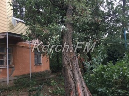 Деревья в Керчи падали на крыши и висели на проводах