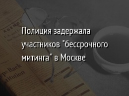 Полиция задержала участников "бессрочного митинга" в Москве