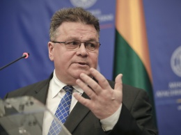 Глава МИД Литвы "в ужасе" от кадров избиения протестующих в РФ