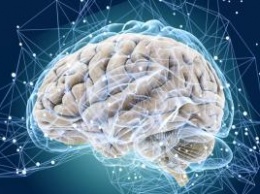Ученые выяснили, какой отдел мозга может «стереть» память