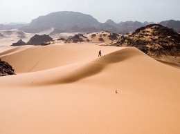 Ученые придумали, как озеленить Сахару и остановить глобальное потепление