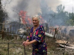 Ведущие польские СМИ: Медведчук предлагает конкретные решения по прекращению четырехлетней войны в Украине