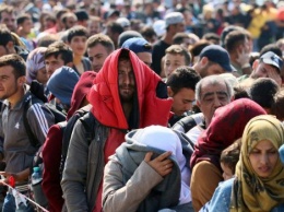 В Украине за месяц выявлено почти 2500 нелегальных мигрантов
