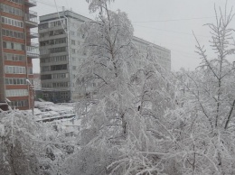 В Красноярском крае движение на трассе остановилось из-за снега