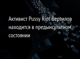 Активист Pussy Riot Верзилов находится в предынсультном состоянии