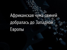 Африканская чума свиней добралась до Западной Европы