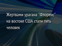 Жертвами урагана "Флоренс" на востоке США стали пять человек